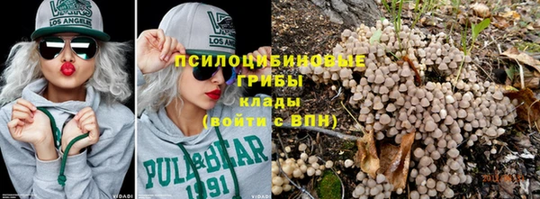 2c-b Балахна