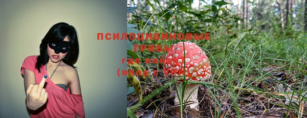 mdpv Баксан